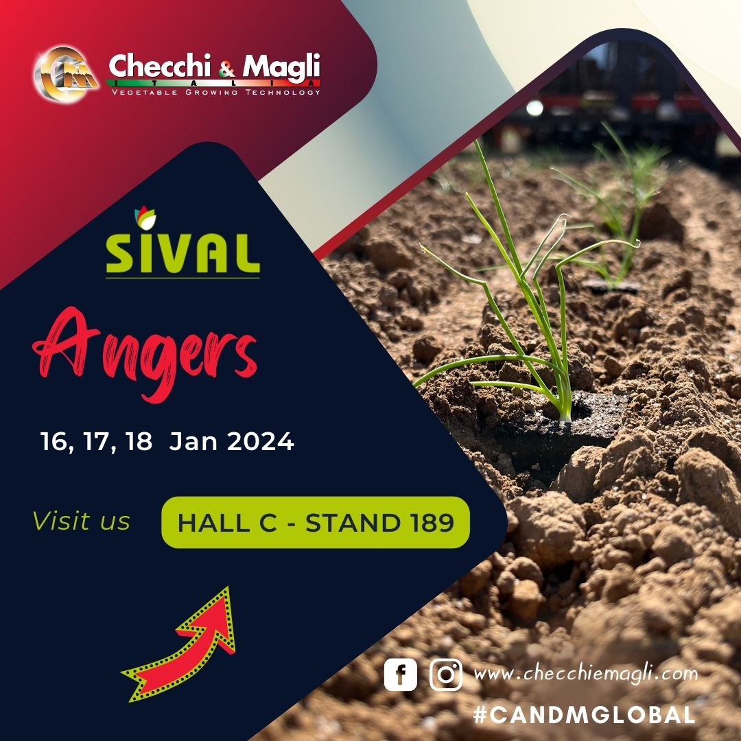 SIVAL 2024 - SIVAL-2024-1