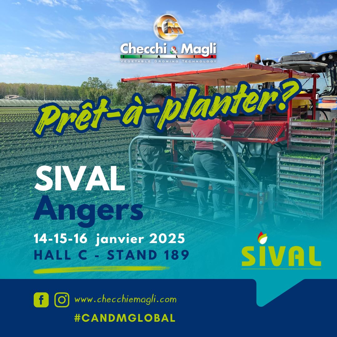 SIVAL 2025 - SIVAL-2025-1