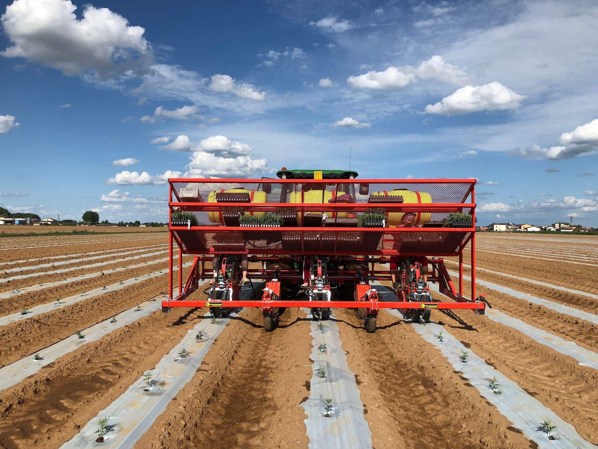 Farm machinery: vegetable planter machine | Checchiemagli.com