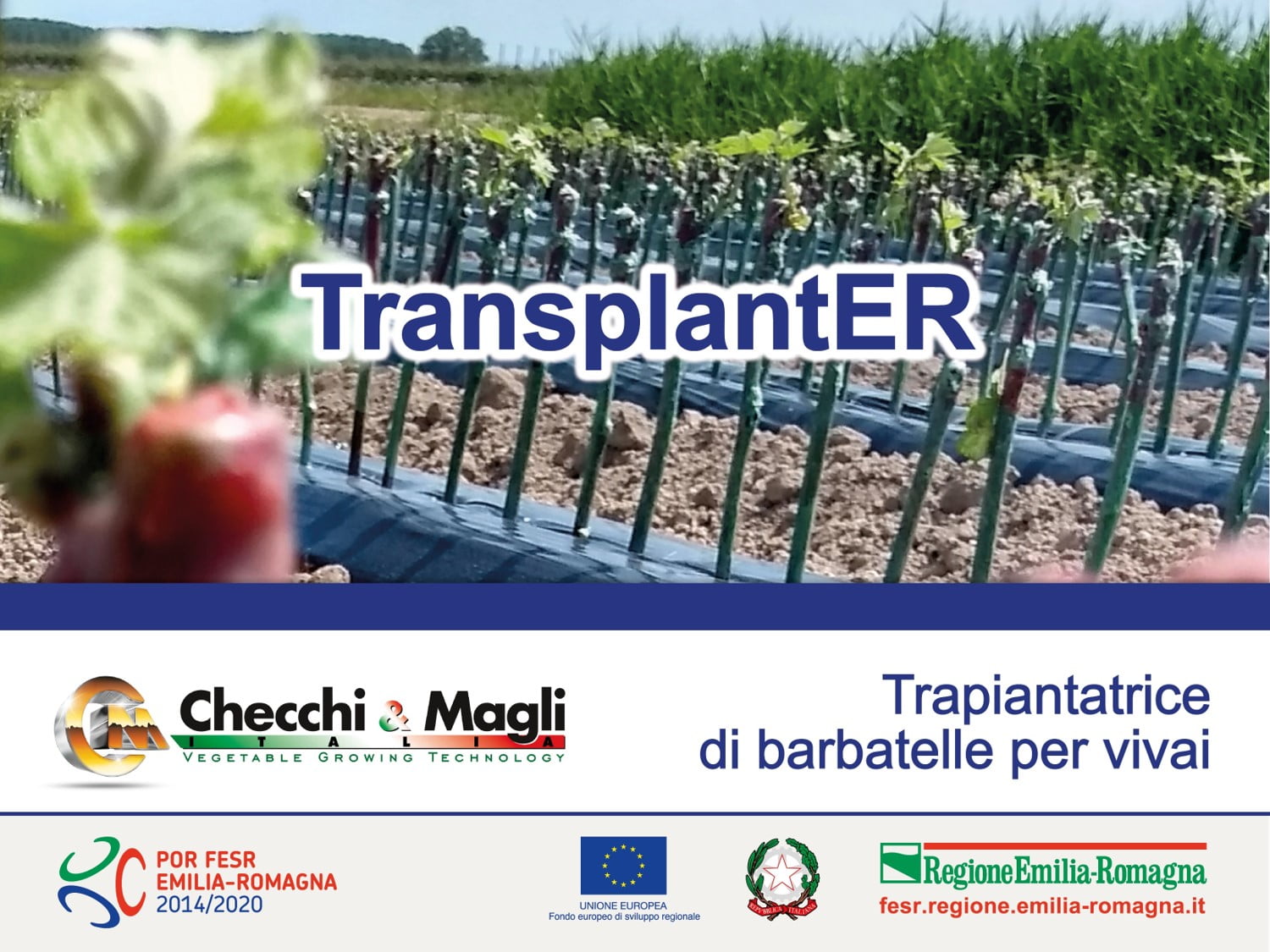 TransplantER: trapiantatrice di barbatelle per vivai - evento-sito_Progetto-barbatelle-1-1