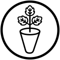 Conical plug