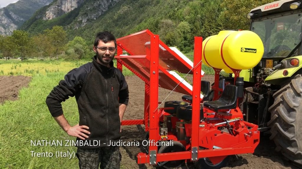 NATHAN ZIMBALDI – Judicaria Officinali, Trento (ITALY) - JUDICARIA_miniatura