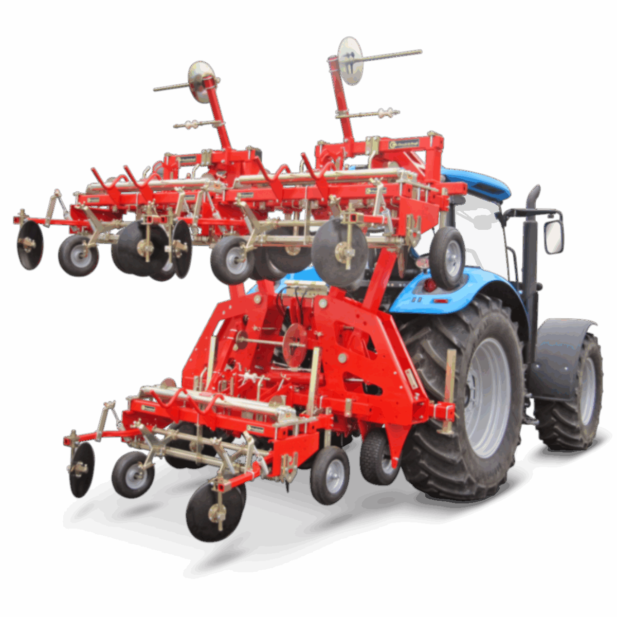 ∮・∮・∮・∮  BOTANIZE x PACHYPATCHY X Pachyveria Pachyphytoides Variegated - Siracactus resistenti