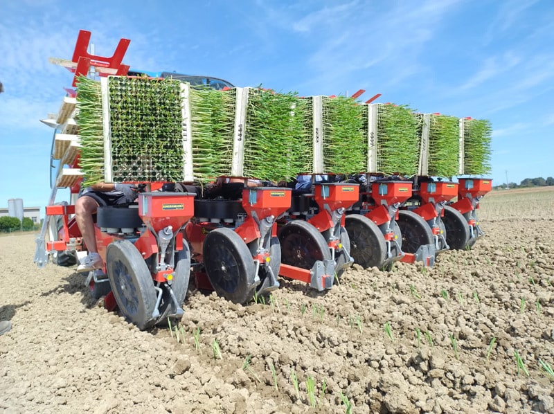 Trium45 - optional_RUOTE-FLEX Trium45 - optional_RUOTE-FLEX