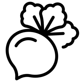 Homepage - barbabietola
