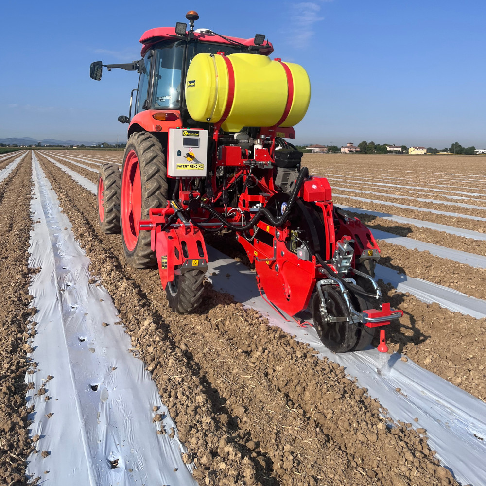 Homepage - SEEDPROe-1000x1000-1