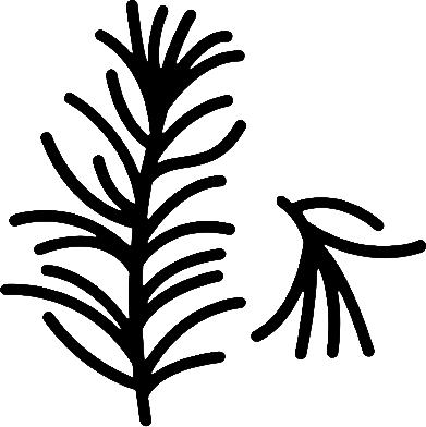 Homepage - altre-erbe