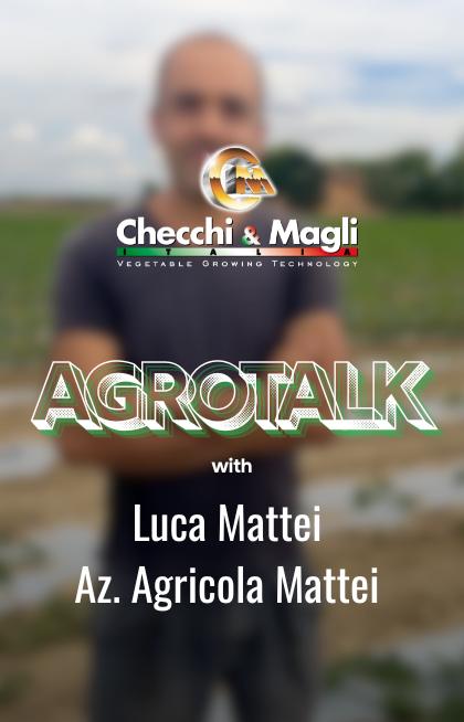 LUCA MATTEI – Az. Agr. Mattei, Budrio (ITALY) - Cover-Mattei
