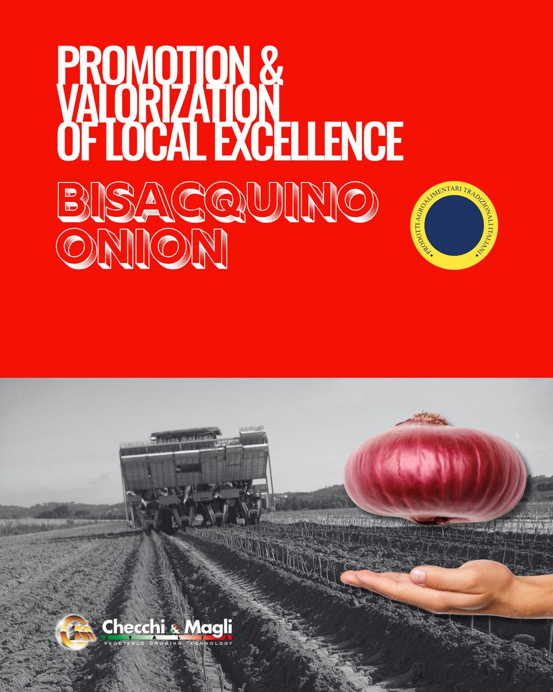 Homepage - Cipolla-di-Bisacquino