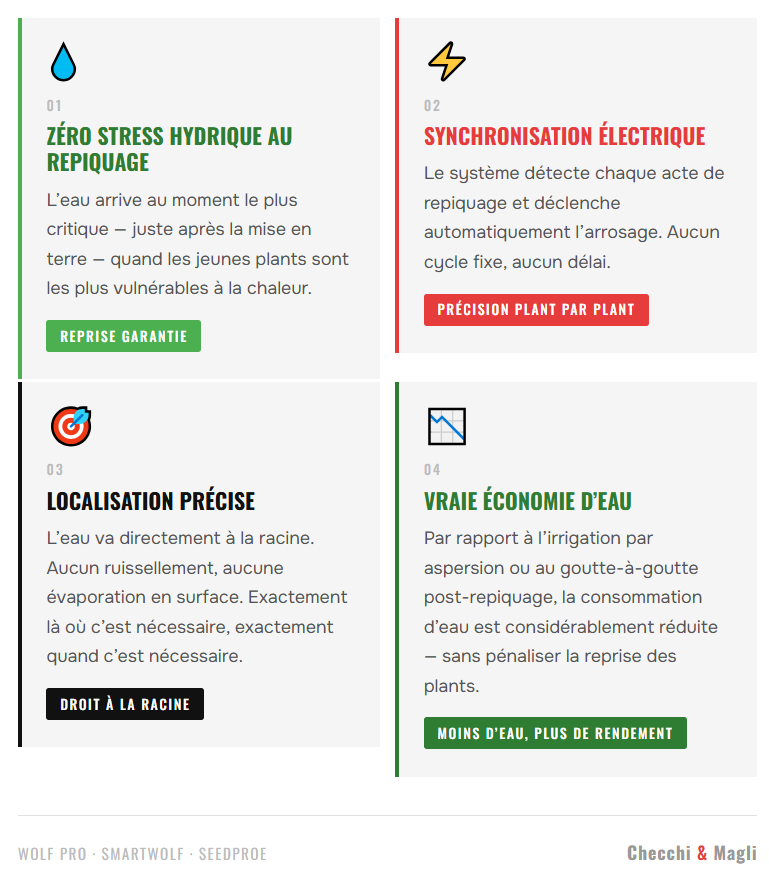 La chaleur est là, Vos plantes sans problème ☀️ - 4-vantaggi_fr La chaleur est là, Vos plantes sans problème ☀️ - 4-vantaggi_fr